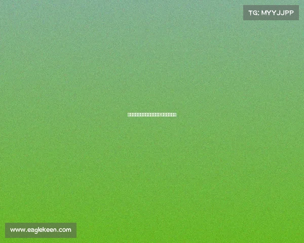 光年电子竞技俱乐部光年舰队·全新征程启航