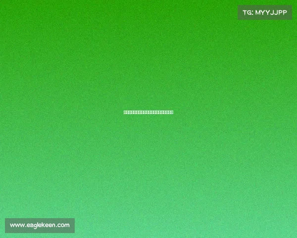 《巅峰神座：全球总决赛之国服第一路人王》